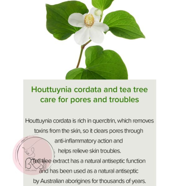 سرم Houttuynia Cordata +Tea Tree ( محصول درمان منافذ ) برند مری‌اندمی - Image 6